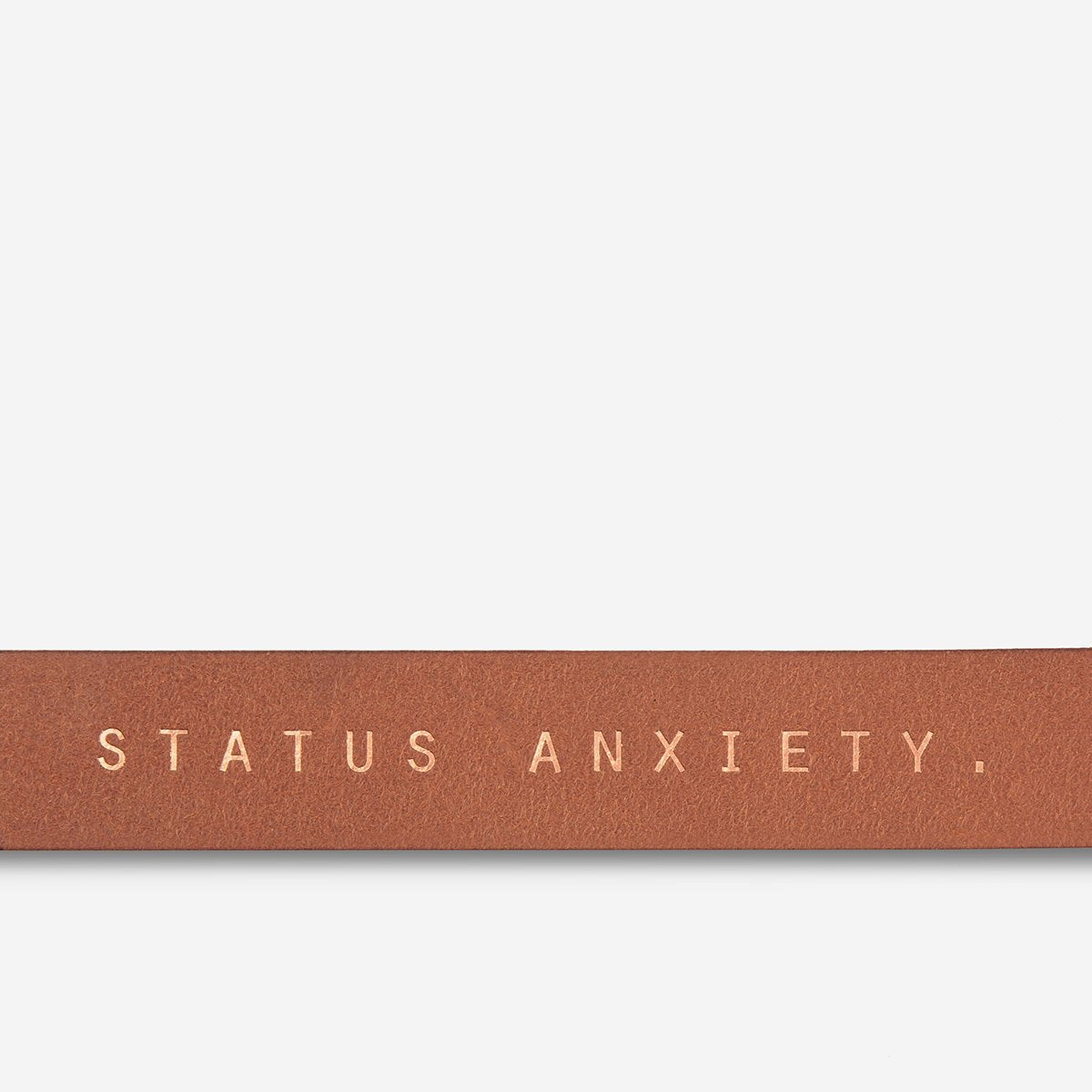 STATUS ANXIETY Natural Corruption Belt tan