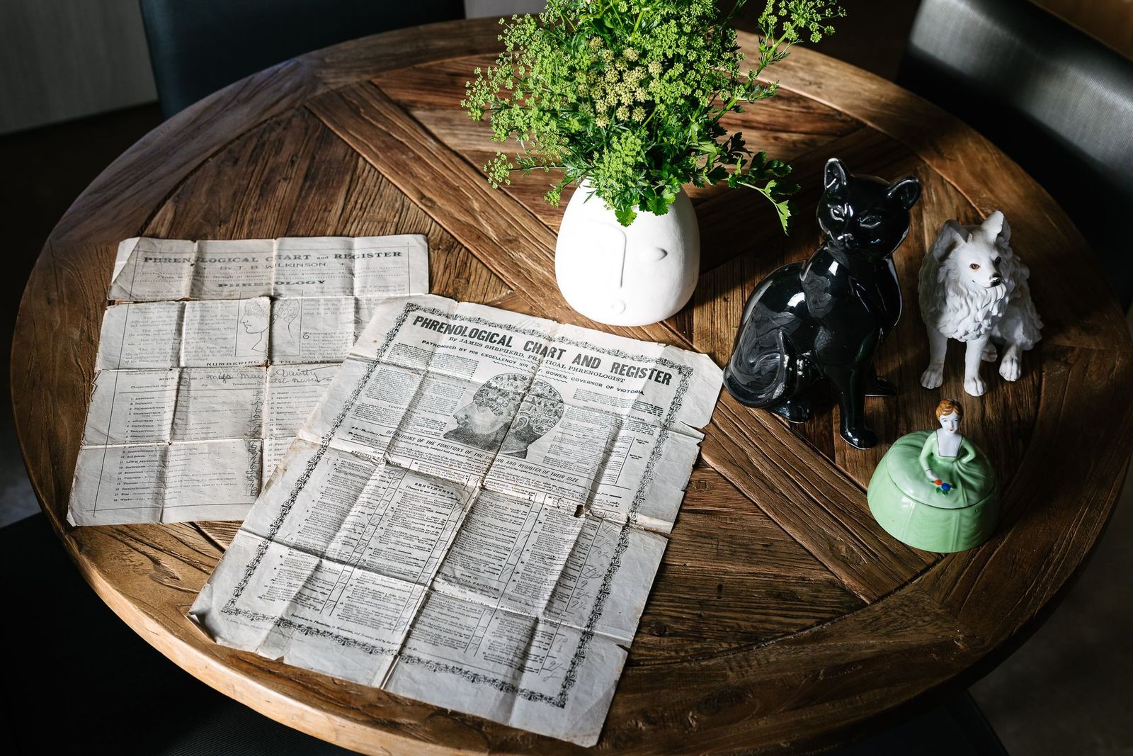 CIRCULAR by MAUD ALICE DAINTY Phrenology Top tippy