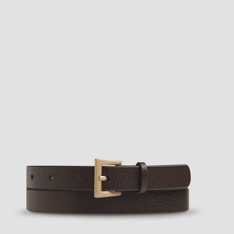 STATUS ANXIETY Part of Me belt choc/gold