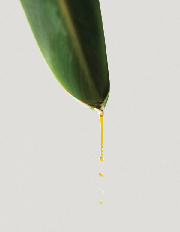 ADDITION STUDIO Australian Native Essential Oil blue gum & lemon myrtle